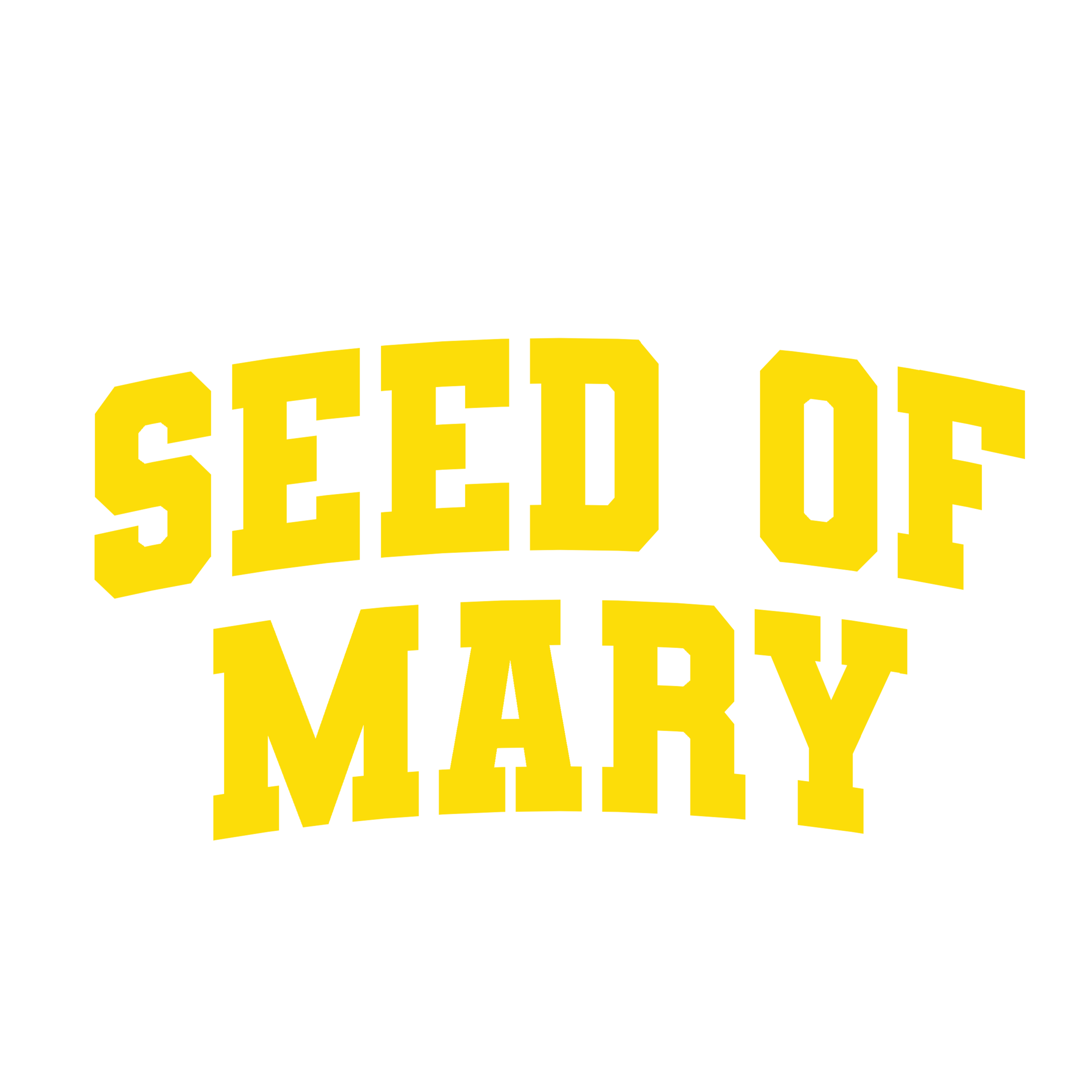 Yellow text 'SEED OF MARY' on a white background